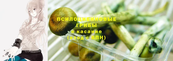 мдма Лагань