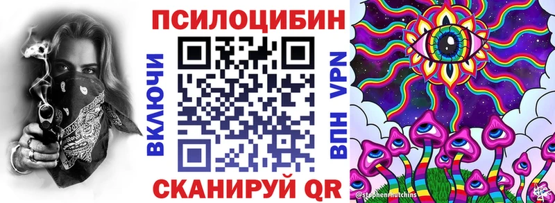 Псилоцибиновые грибы Psilocybine cubensis  Называевск 